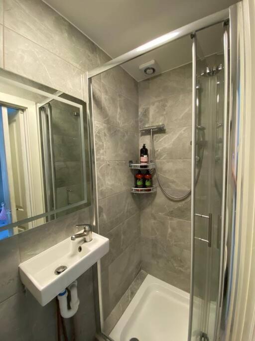 One Bedroom Putney Village Flat Apartment